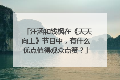 汪涵和钱枫在《天天向上》节目中，有什么优点值得观众点赞？