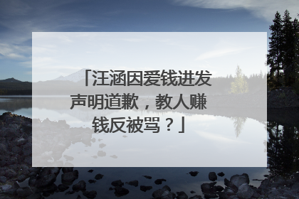 汪涵因爱钱进发声明道歉，教人赚钱反被骂？