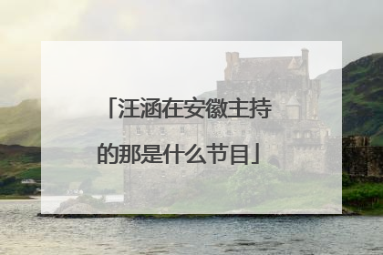 汪涵在安徽主持的那是什么节目