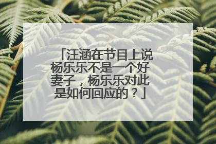 汪涵在节目上说杨乐乐不是一个好妻子，杨乐乐对此是如何回应的？