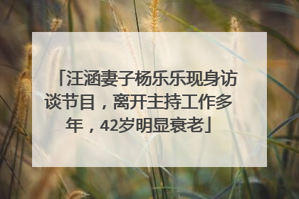 汪涵妻子杨乐乐现身访谈节目，离开主持工作多年，42岁明显衰老