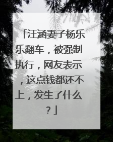 汪涵妻子杨乐乐翻车，被强制执行，网友表示，这点钱都还不上，发生了什么？