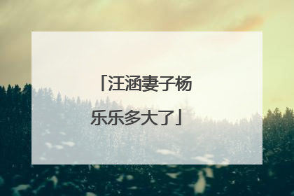 汪涵妻子杨乐乐多大了