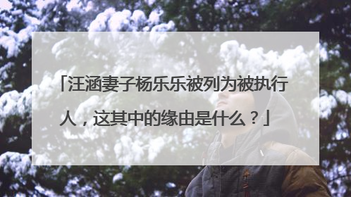 汪涵妻子杨乐乐被列为被执行人,这其中的缘由是什么?