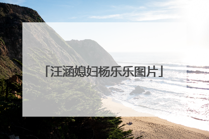 汪涵媳妇杨乐乐图片