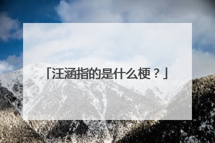 汪涵指的是什么梗?