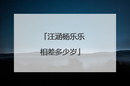 汪涵杨乐乐相差多少岁