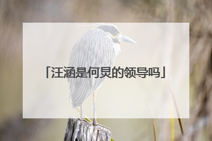 汪涵是何炅的领导吗