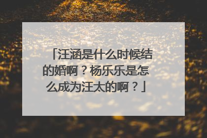 汪涵是什么时候结的婚啊?杨乐乐是怎么成为汪太的啊?