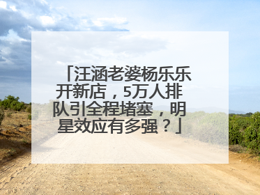 汪涵老婆杨乐乐开新店，5万人排队引全程堵塞，明星效应有多强？
