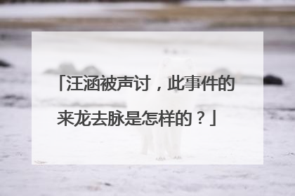 汪涵被声讨，此事件的来龙去脉是怎样的？