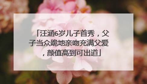 汪涵6岁儿子首秀,父子当众跪地亲吻充满父爱,颜值高到可出道