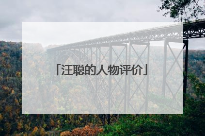 汪聪的人物评价