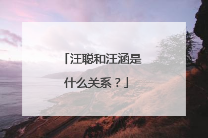 汪聪和汪涵是什么关系？