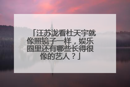 汪苏泷看杜天宇就像照镜子一样,娱乐圈里还有哪些长得很像的艺人?