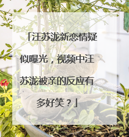 汪苏泷新恋情疑似曝光，视频中汪苏泷被亲的反应有多好笑？