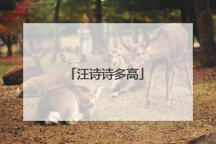 汪诗诗多高
