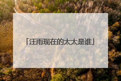 汪雨现在的太太是谁