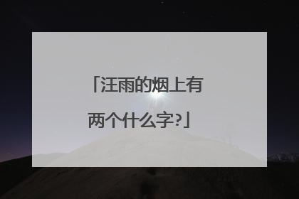 汪雨的烟上有两个什么字?