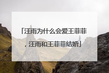 汪雨为什么会爱王菲菲，汪雨和王菲菲结婚