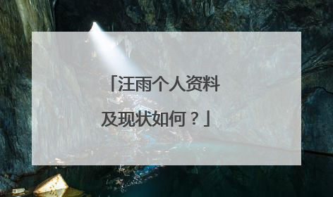 汪雨个人资料及现状如何？