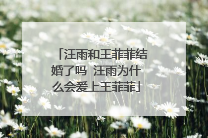 汪雨和王菲菲结婚了吗 汪雨为什么会爱上王菲菲