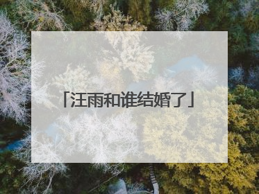 汪雨和谁结婚了