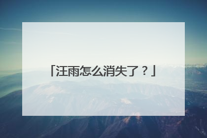 汪雨怎么消失了？