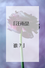 汪雨是谁？