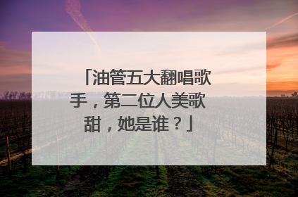 油管五大翻唱歌手，第二位人美歌甜，她是谁？