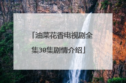 油菜花香电视剧全集30集剧情介绍