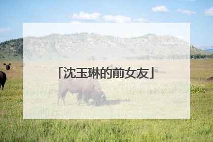 沈玉琳的前女友