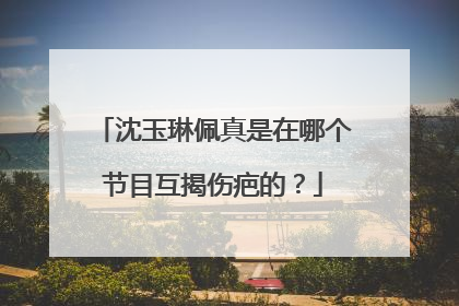 沈玉琳佩真是在哪个节目互揭伤疤的?