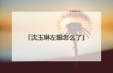 沈玉琳左眼怎么了