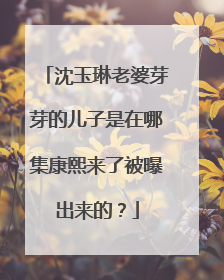 沈玉琳老婆芽芽的儿子是在哪集康熙来了被曝出来的？