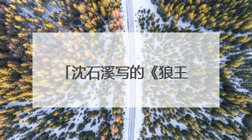 沈石溪写的《狼王梦》的主要内容