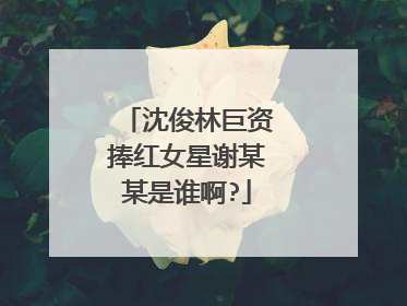 沈俊林巨资捧红女星谢某某是谁啊?