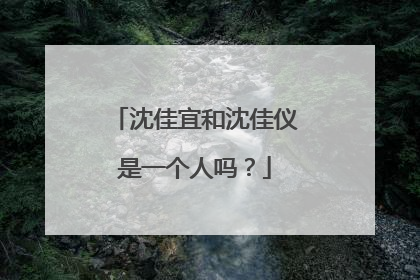 沈佳宜和沈佳仪是一个人吗?