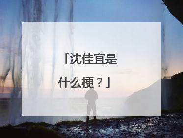 沈佳宜是什么梗?