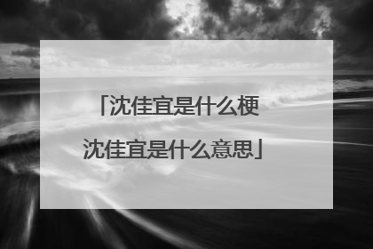 沈佳宜是什么梗 沈佳宜是什么意思