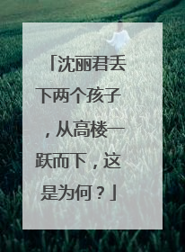 沈丽君丢下两个孩子，从高楼一跃而下，这是为何？