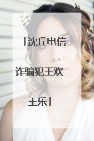 沈丘电信诈骗犯王欢王乐