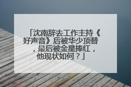 沈南辞去工作主持《好声音》后被华少顶替 ，最后被金星捧红，他现状如何？