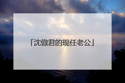 沈傲君的现任老公