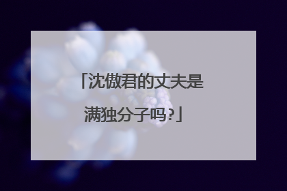 沈傲君的丈夫是满独分子吗?