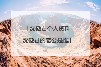 沈傲君个人资料 沈傲君的老公是谁