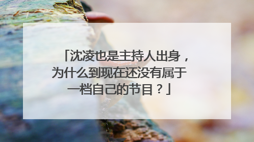 沈凌也是主持人出身，为什么到现在还没有属于一档自己的节目？