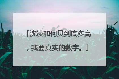 沈凌和何炅到底多高,我要真实的数字。