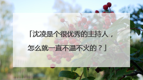 沈凌是个很优秀的主持人，怎么就一直不温不火的？