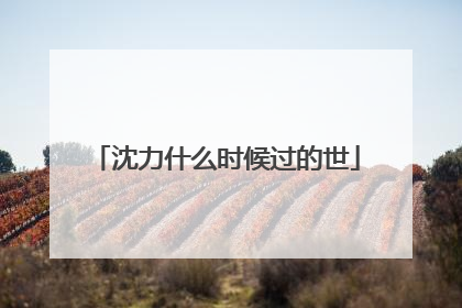 沈力什么时候过的世